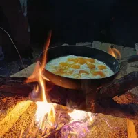 تخم مرغ محلی تازه|خوردنی و آشامیدنی|نیشابور, هفده شهریور|دیوار