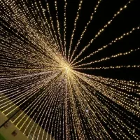 ریسه رنگی و روشنایی|ریسه و چراغ تزئینی|بندرعباس, |دیوار