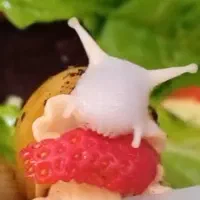 حلزون تراپی