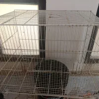 قفس ۶۰ در ۴۰