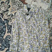 لباس مجلسی|لباس|بهارستان, |دیوار