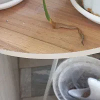 میز خاطره با پایه محکم