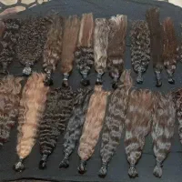 جشنواره خرید موها بدون واسطه