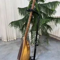 تنبور حرفه ای