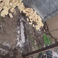 خط دائمی چناران