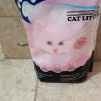 خاک بستر گربه برای حیوان خودتان خاک تهیه کنید