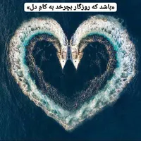 کیف به همراه تمامی مدارک گمشده