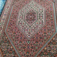 فرش زرنیم افشار|فرش|زنجان, |دیوار