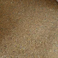 فروشتخماسپست|خوردنی و آشامیدنی|زهک, |دیوار