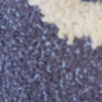 تخم مرغ محلی نطفه دار