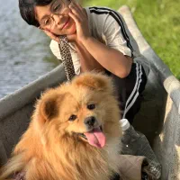 اشپیتز ژاپنی