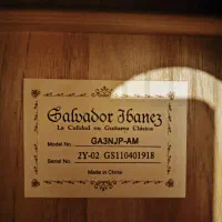 گیتار ایباننز