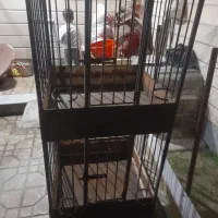 فروش قفس پرنده|لوازم جانبی حیوانات|نهاوند, |دیوار