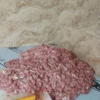 گوشواره مرغ خورده مرغ|خوردنی و آشامیدنی|حبیب آباد, |دیوار