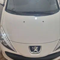 207 دنده ای پاناروما خشک