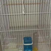 قفس پرنده|لوازم جانبی حیوانات|کرج, برغان|دیوار