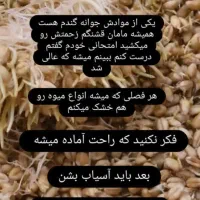 ماسک گیاهی دستساز|آرایشی، بهداشتی، درمانی|سراوان, |دیوار