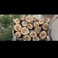 درخت چوب|خدمات باغبانی و درختکاری|تهران, گمرک|دیوار