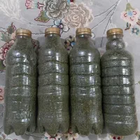 نعناع خشک