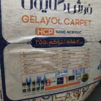 فرش ۹متری|فرش|مشهد, رضاییه|دیوار