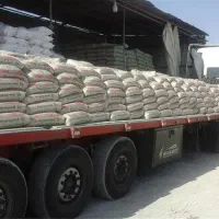 مصالح ساختمانی تک گلپا