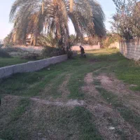 فروش-زمین-مسکونی
