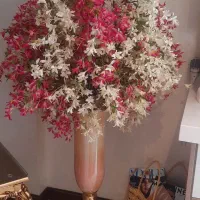 گلدان و گل گلد کیش