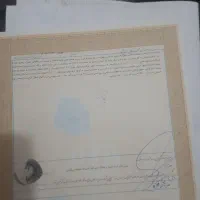 ملک کلنگی ماسور