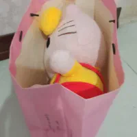 عروسک کیتی نونو در حد پلمپ صورتی کم رنگ،قابل شستشو|اسباببازی بچه|تهران, دبستان|دیوار