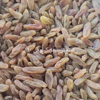 فروش انواع کشمش های افتابی|خوردنی و آشامیدنی|دلیجان, |دیوار