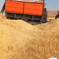 مکنده کاه سری ۷|عمدهفروشی|سنقر, |دیوار