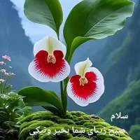 سرمایه‌گذاری
