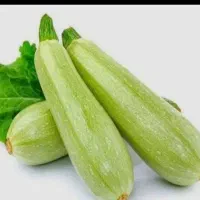 کدو خورشتی