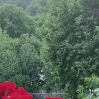 کلنگی گلابدره ۴۵۰ متر بر ۳۰ سند تک