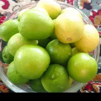 لیمو کلات