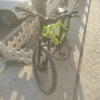 دوچرخه ویوا|دوچرخه، اسکیت، اسکوتر|پاکدشت, پاکدشت (مامازند)|دیوار