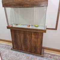 آکواریوم شیشه خم با درب و پایه|ماهی|کرج, فاز ۴ مهرشهر|دیوار