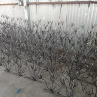 امنیت با ما|خدمات پیشه و مهارت|گلپایگان, |دیوار