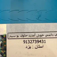 0913.273.943.1