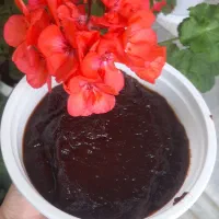 ترشی آلوچه جنگلی شیراباد