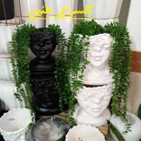 گلدان های فانتزی برای هدیه