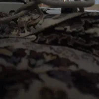 سینک ظرفشویی دوقلو