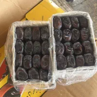 اجاره باغ خرما باغچمک