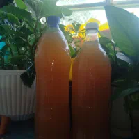 آبغوره سی  سخت خوشمزه و عالی