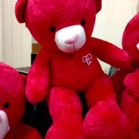 فروش عروسک خرسی پولیشی درجه یک|اسباب‌‌بازی|مشگین شهر, |دیوار