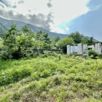 فروش-680-متر-زمین-قیمت-کاسبی-خط-اول-جنگل-چلک