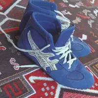 کتونی|کیف، کفش، کمربند|الشتر, |دیوار