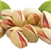 خریدارپسته پوک|خدمات باغبانی و درختکاری|بهاباد, |دیوار