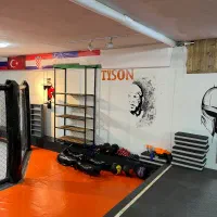 مربی خصوصی