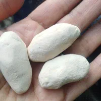 سنگ زینتی و قیمتی|جواهرات|ری, شهید غیوری (ابن باویه)|دیوار